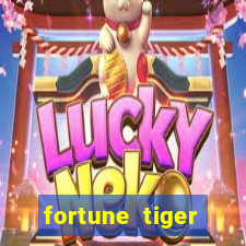 fortune tiger cassino pix